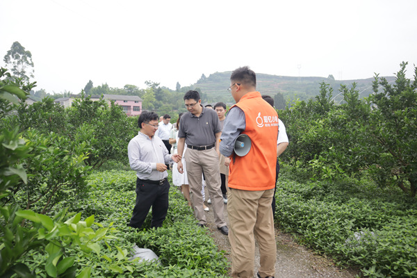 青年科學家在柑橘種植基地負責人現(xiàn)場交流。共青團重慶市委供圖