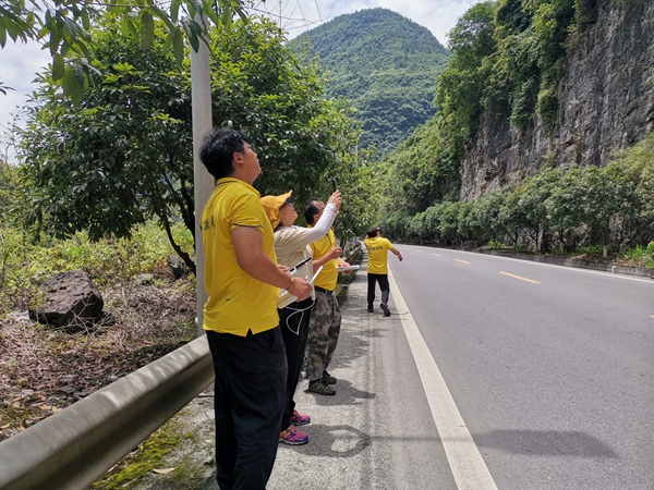 《仰望》。7月21日，107地質(zhì)隊(duì)副總工李華秀在彭水新319線彭水至保家段現(xiàn)場(chǎng)指導(dǎo)危巖核查工作。吳碧輝攝