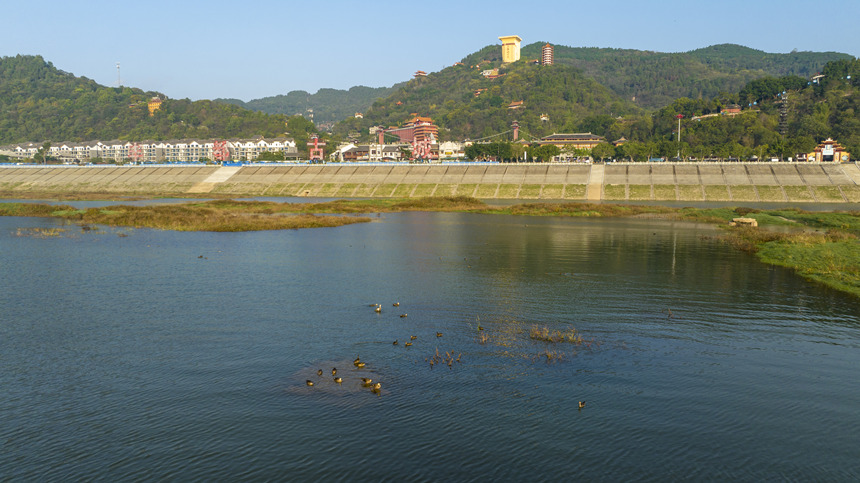 鳥兒與江水城市構(gòu)成了一幅和諧美麗的生態(tài)畫卷。劉先華攝