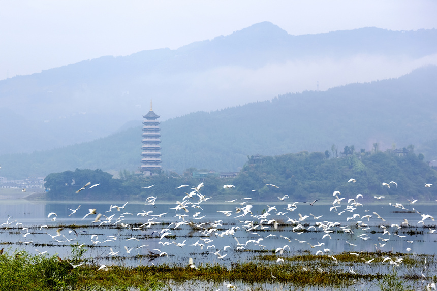 重慶開州漢豐湖國家濕地公園。