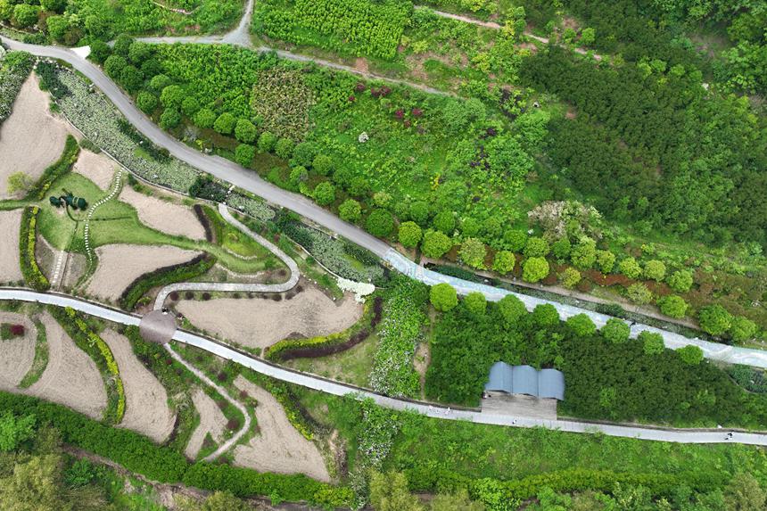 阿蓬江國(guó)家濕地公園。楊敏攝