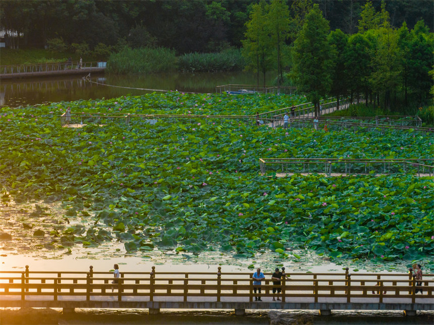 南岸區(qū)茶園疊水公園景色迷人。郭旭攝