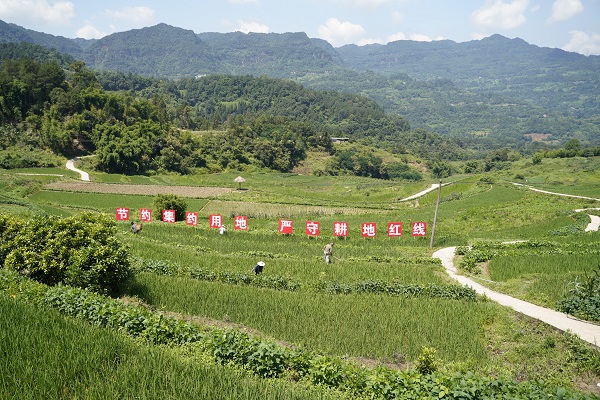 江津蔡家鎮(zhèn)福德村市級(jí)土地開發(fā)整理項(xiàng)目。重慶市規(guī)劃和自然資源局供圖