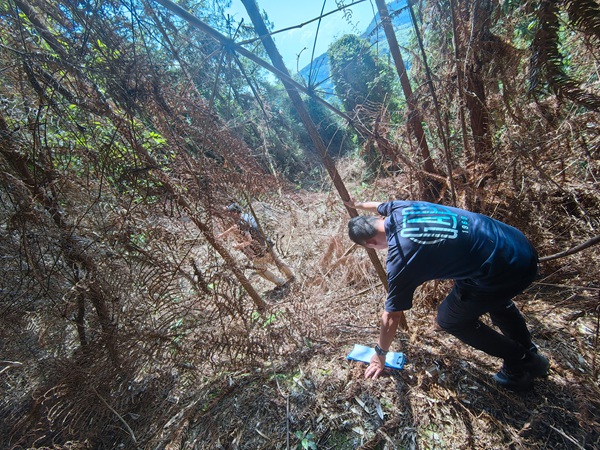 《爬山穿林》。6月26日，頂著烈烈炎日，川東南地質(zhì)隊(duì)駐守地質(zhì)工程師朱放在梁平區(qū)七星鎮(zhèn)老碗廠滑坡治理工程勘查項(xiàng)目進(jìn)行現(xiàn)場(chǎng)踏勘。王鵬飛攝