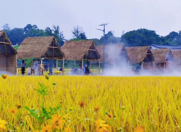 興隆鎮(zhèn)?；蚀迤卟实咎?。渝北區(qū)文化旅游委供圖