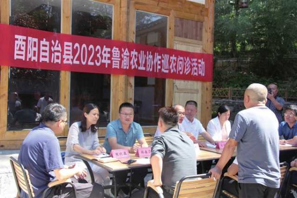 酉陽(yáng)縣2023年魯渝農(nóng)業(yè)協(xié)作巡農(nóng)問(wèn)診活動(dòng)現(xiàn)場(chǎng)。酉陽(yáng)縣鄉(xiāng)村振興局供圖。