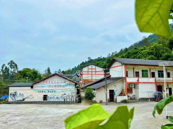 瓦屋院子人居環(huán)境干凈整潔。成蓉攝