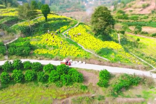 村道硬化。璧山區(qū)中醫(yī)院供圖