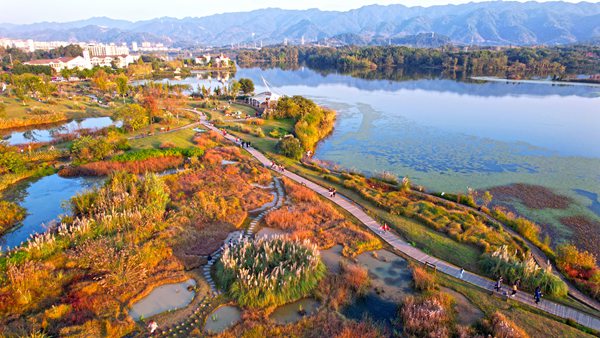 雙桂湖國(guó)家濕地公園梁山草甸景點(diǎn)。向成國(guó)攝