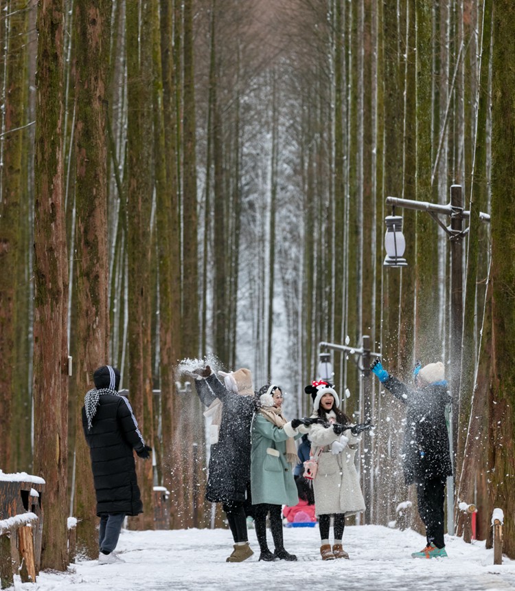 1月22日，南川區(qū)喀斯特國(guó)家生態(tài)園，游客在雪中嬉戲。通訊員 羅川 攝/視覺(jué)重慶