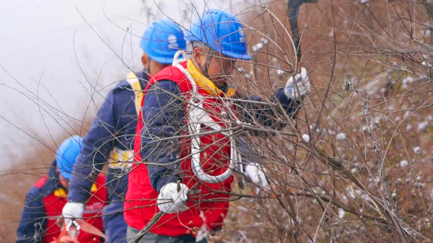 電力巡線員們用砍刀清理巡線路上的樹障。彭子紋攝