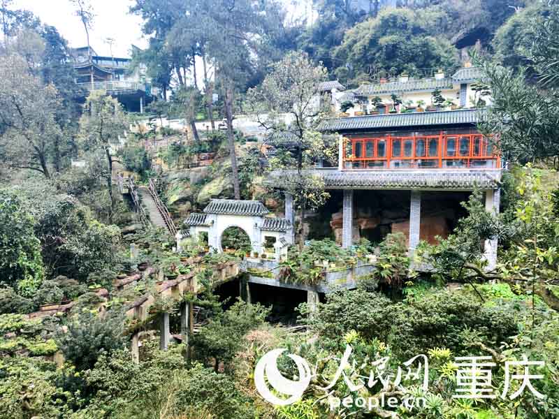 南岸區(qū)雙龍村內盆景園數(shù)量眾多，各具特色。人民網 陳琦攝