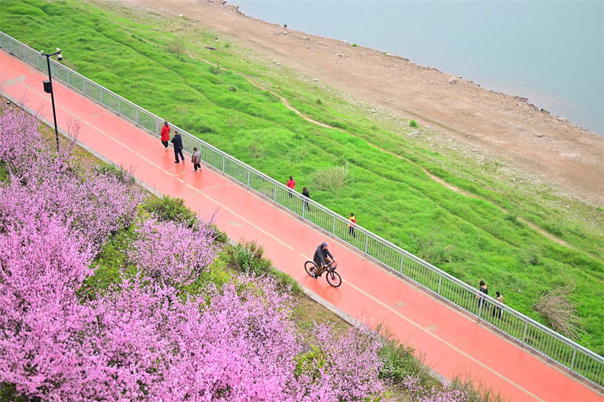 南濱路雅巴洞江灘公園，市民踏青賞花，享受周末的美好時(shí)光。郭旭攝