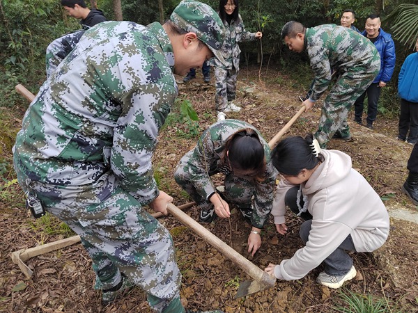 植樹(shù)現(xiàn)場(chǎng)。姜家鎮(zhèn)供圖