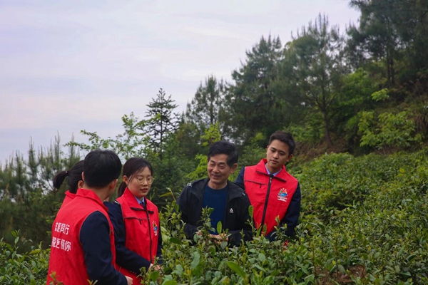 近日，大足區(qū)稅務(wù)人員到古龍茶山幫助采摘春茶，宣傳稅費(fèi)優(yōu)惠政策。蔡茂元攝