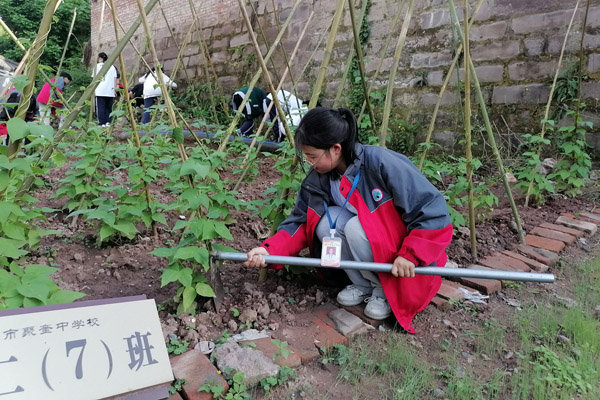 學(xué)生除草。聚奎中學(xué)供圖