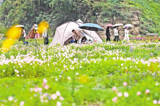 5月2日，南川區(qū)三泉鎮(zhèn)萬卷書臺景區(qū)，游客在露營游玩。通訊員 羅川 攝/視覺重慶