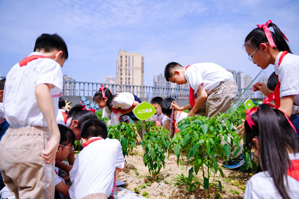 渝北區(qū)中央公園小學?！短矫乩苯贰氛n堂展示。渝北區(qū)中央公園小學校供圖