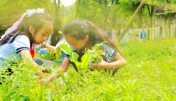 勞動素養(yǎng)課程。重慶市大渡口小學(xué)供圖