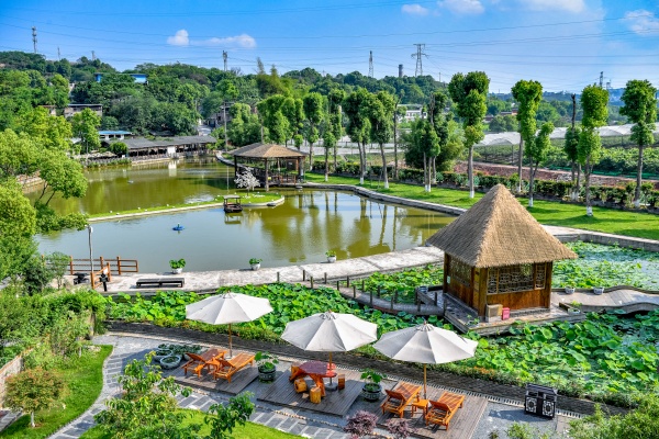 九龍坡陶家鎮(zhèn)清棲谷。曹鳴鷗攝