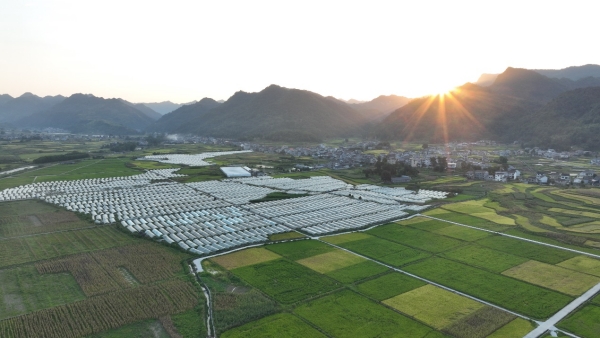 清溪場街道鄉(xiāng)村田園景色如畫。胡程攝