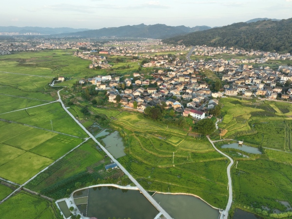 航拍清溪場街道鄉(xiāng)村田園景色。胡程攝