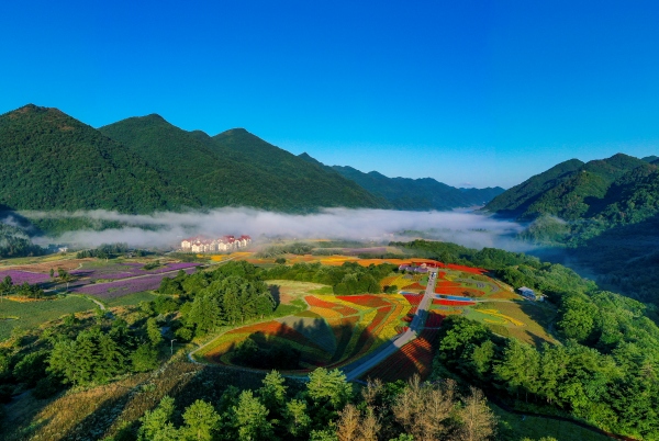 紅池壩云中花海。巫溪縣委宣傳部供圖