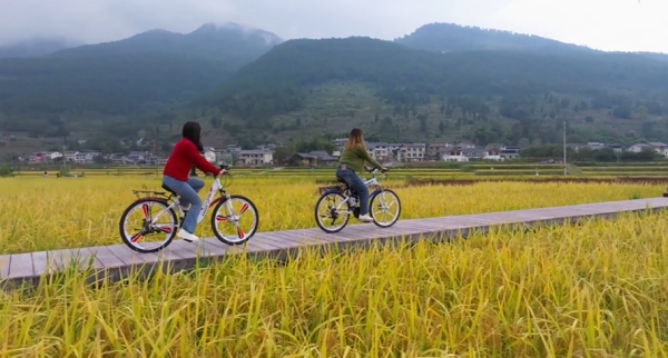 游客賞包鸞秋景。劉先華攝